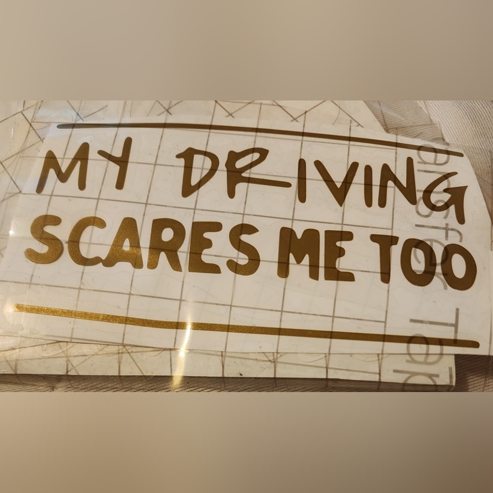 Funny Decal sticker for car windows